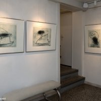 Galerie DAS BILDERHAUS 2016